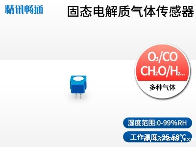 固态电解质气体传感器
